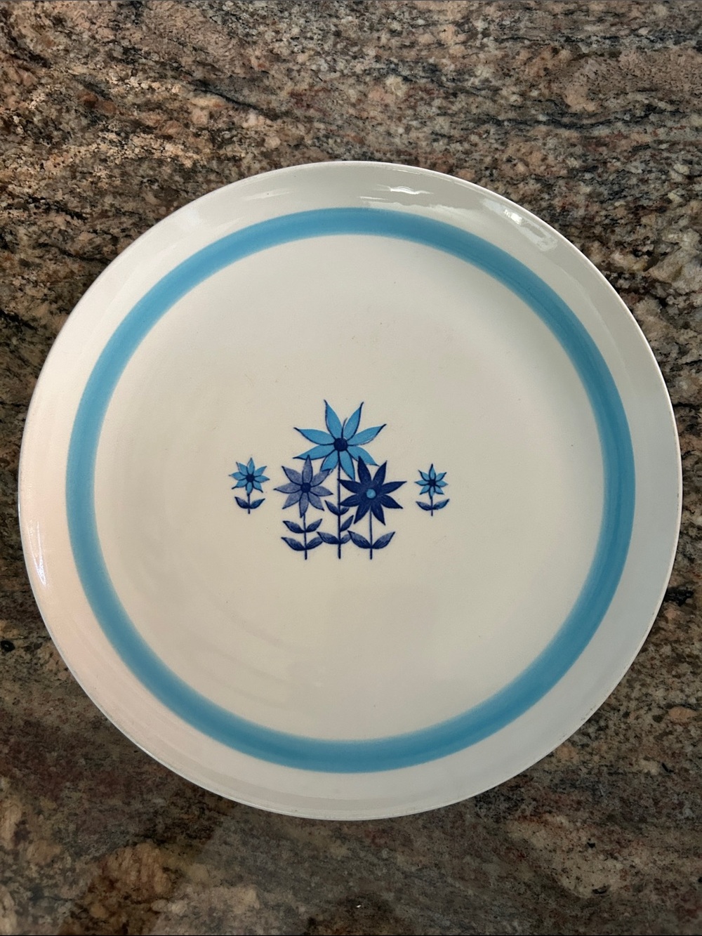 Hara Vintage Blue Bonnet Floral Rim Ironstone Dinner/Chop Serving Plate